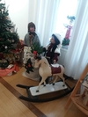 Weihnachtsausstellung